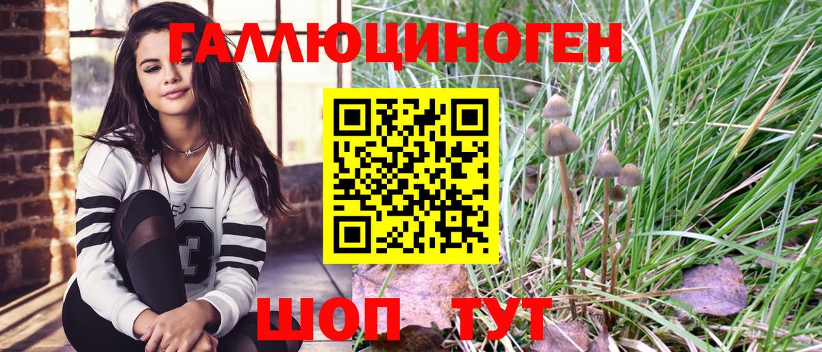 Галлюциногенные грибы мицелий Новокубанск