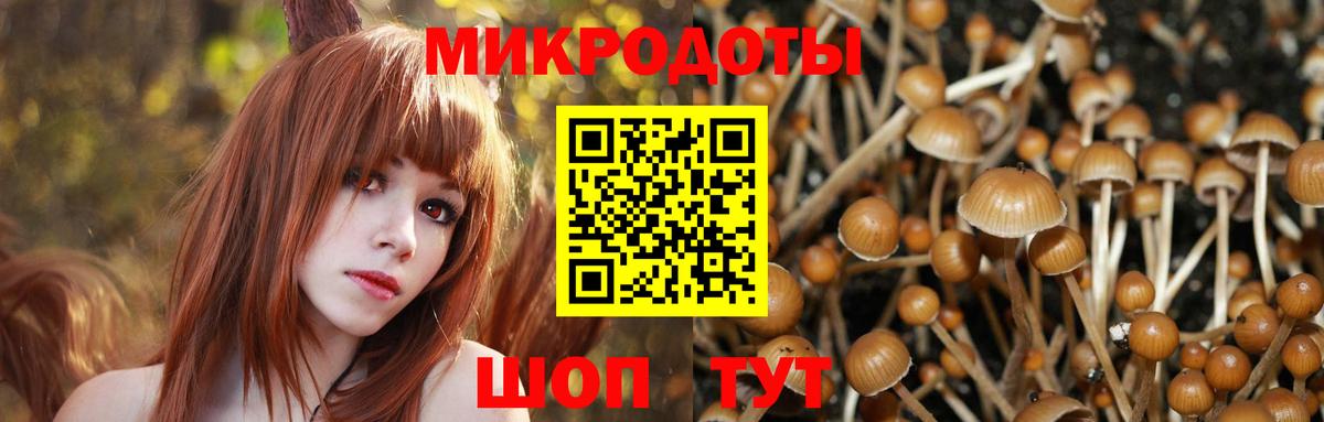 Псилоцибиновые грибы ЛСД  Вход с VPN  что такое   Новокубанск 